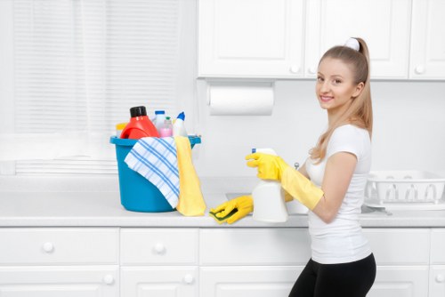 Professional carpet cleaner treating a carpeted room