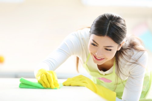 Deep cleaning process for a sofa during upholstery cleaning in Upton