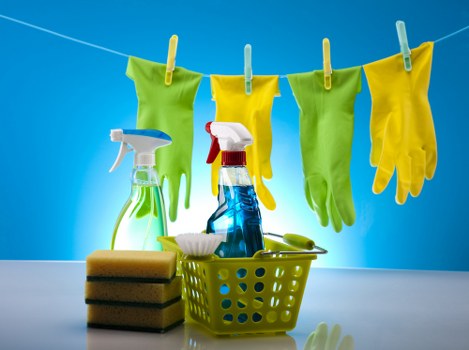 Upton carpet cleaners treating stains and improving carpet appearance