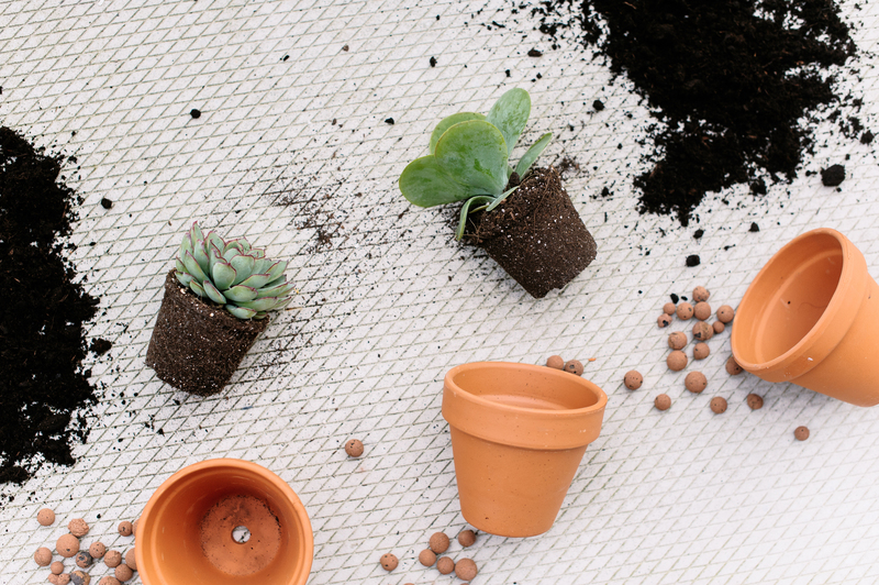 house cleaning home cleaning